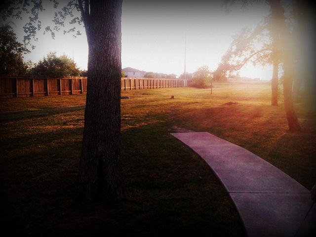 [13-Poetic Licensea[2].jpg]