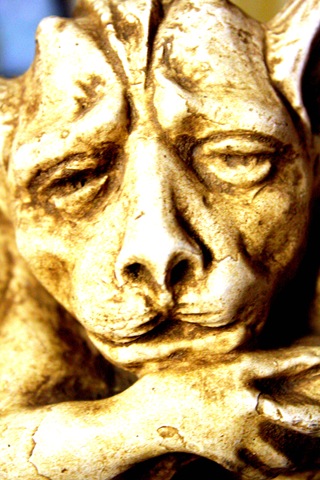 [Birthday Day 267a[2].jpg]