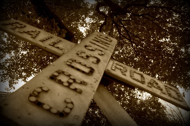 [Birthday Day 487a[2].jpg]