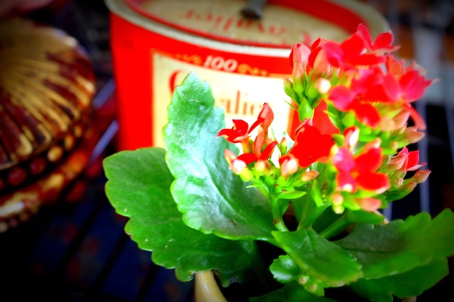 [Urban Market 591a[2].jpg]