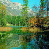 il Lago di Cei.jpg