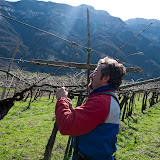 PotaturaEnantio2010-1.jpg