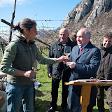 PotaturaEnantio2010-7.jpg