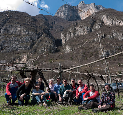 PotaturaEnantio2010-10.jpg