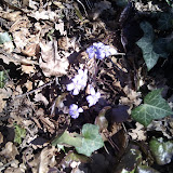 IMG_20110219_105759.jpg