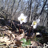 IMG_20110219_105905.jpg