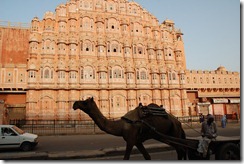 India 2010 -  Jaipur - Palacio de los vientos , 16 de septiembre   04