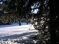 photo.jpg Photo