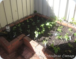 garden garden