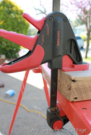 IMG_2750 IMG_2750