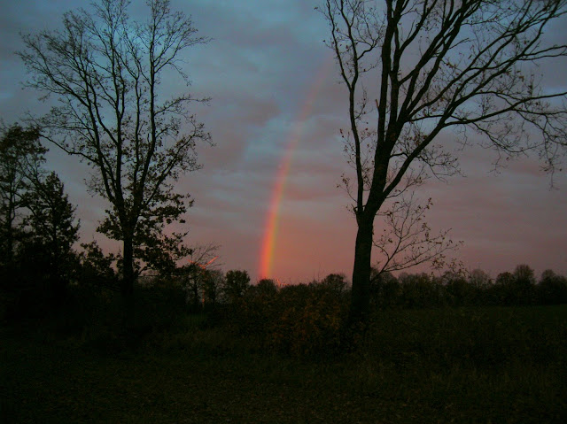 The sign of the Covenant of Love