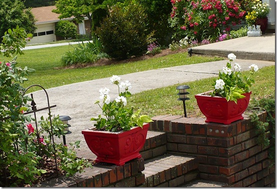 bothplanters bothplanters