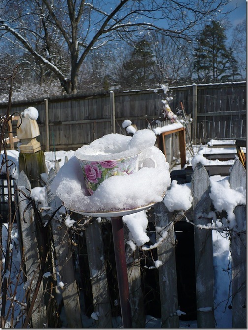 teacupbirdfeeder teacupbirdfeeder