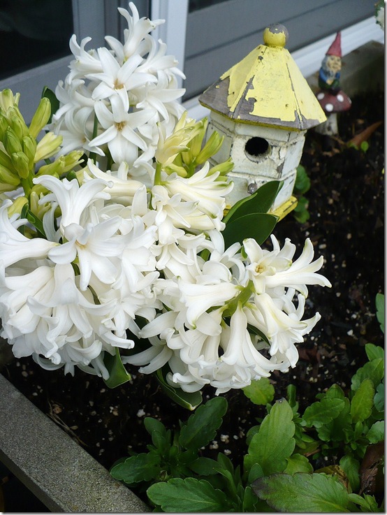 birdhouse