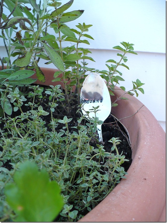 Oreganothyme Oreganothyme