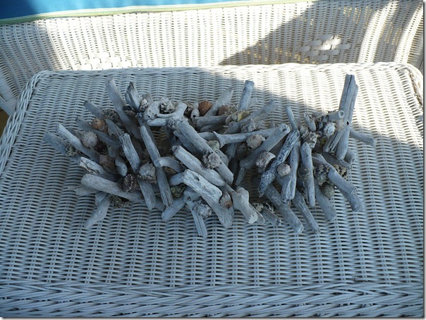driftwood driftwood