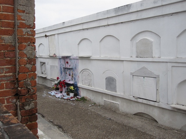 [IMG_01332.jpg]