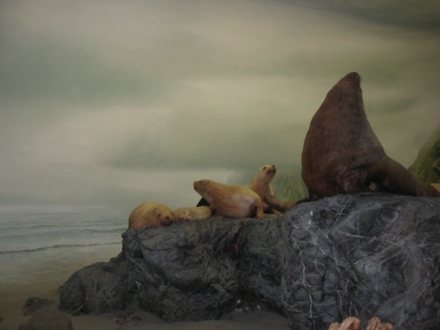 [IMG_51704.jpg]