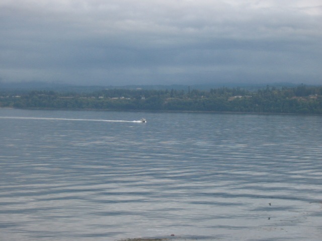 [IMG_51262.jpg]