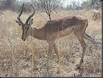 KNP Day 2 48