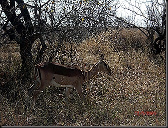 KNP Day 1 71