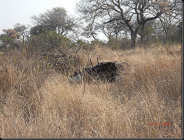 KNP Day 2 73 KNP Day 2 73