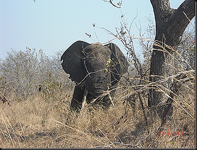 KNP Day 2 27 KNP Day 2 27
