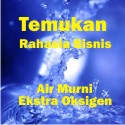 Bisnis
