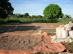 Ground nuts being sun-dried on CFA land