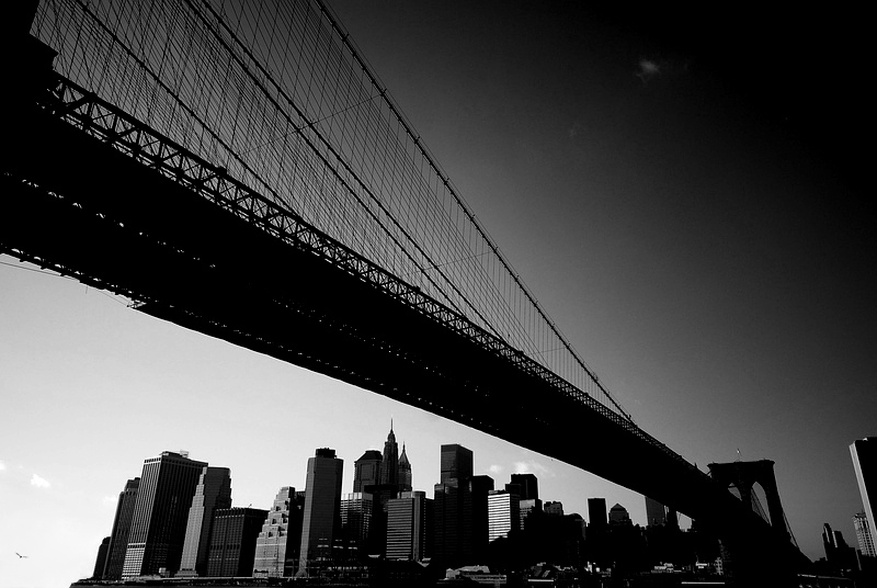12/07, New York gang