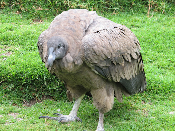 Spotting Image 1