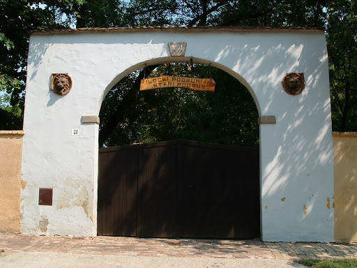 Ilocki Stari Vinski Podrum