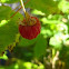 Raspberry