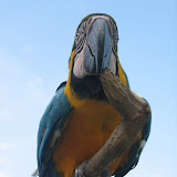 六福村 (遊園地) Leofoo Amusement Park, Taiwan