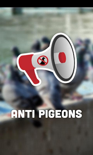 STOP PIGEONS