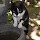 Pets of Europe