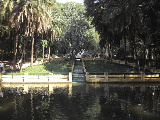 Fonte E Lago Das Carpas