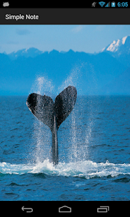 How to download SimpleNote patch 1.0 apk for android