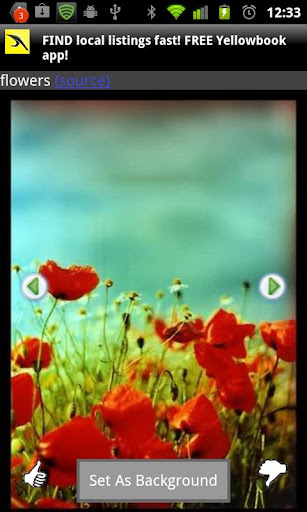 Flower Background Wallpapers