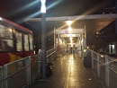 Estacion Xola - Metrobus