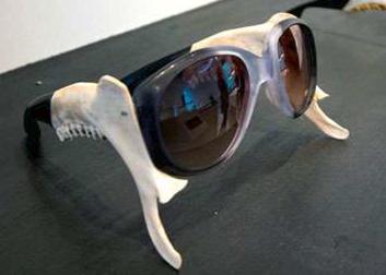 Gafas mandibula ciervo
