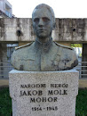 Kamnik Narodni Heroj Jakob Molk Mohor