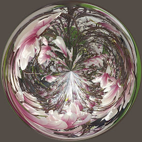 Pink Blossom Tree by Colleen Legree - Abstract Fine Art ( abstract, circular, apple blossom, fineart, tree, fine art, circle, blossom )