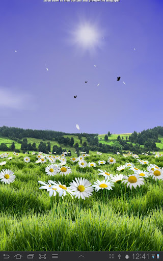 Lovely Daisies Live Wallpaper
