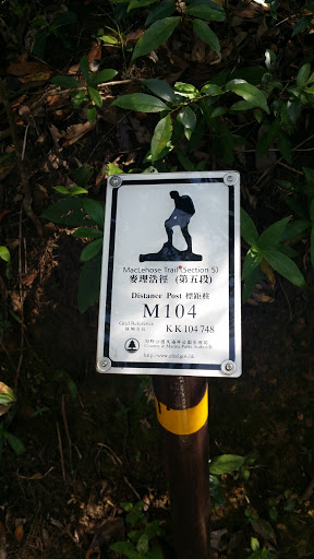 Maclehose trail (section 5) M104