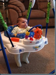 Jumperoo 6-24007