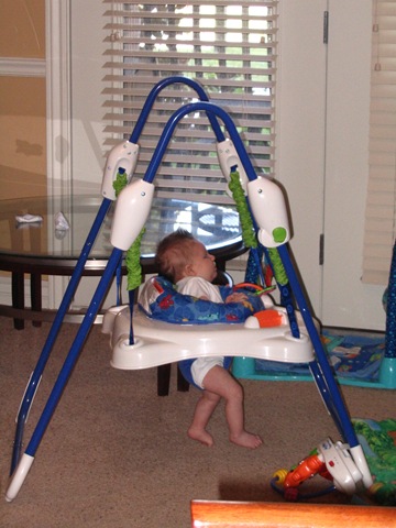 [Jumperoo 6-24002[4].jpg]