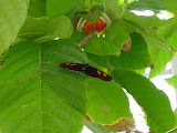 dsc00025.jpg