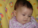 dsc00397.jpg