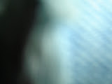 DSC01194.JPG
